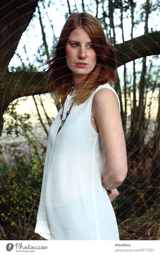 Young woman stands in front of a tree and looks to the side Elegant Style Trip Far-off places Youth (Young adults) 18 - 30 years Adults Tree Bushes Field Forest