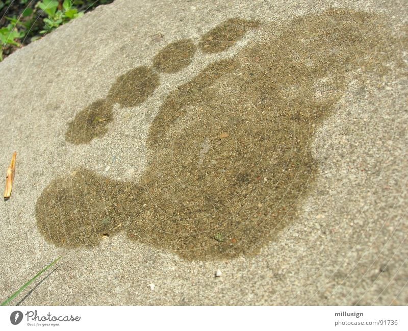 pitch pitchy-pitchy Footprint Wet Damp Concrete Toes Stone Minerals Feet Barefoot