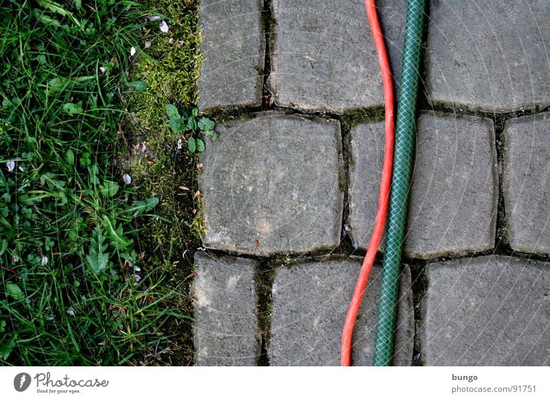 structure Meadow Grass Dandelion Pave Hose Bend Connect Graphic Furrow Division Communicate Floor covering Garden Cobblestones Stone Cable Column Meandering