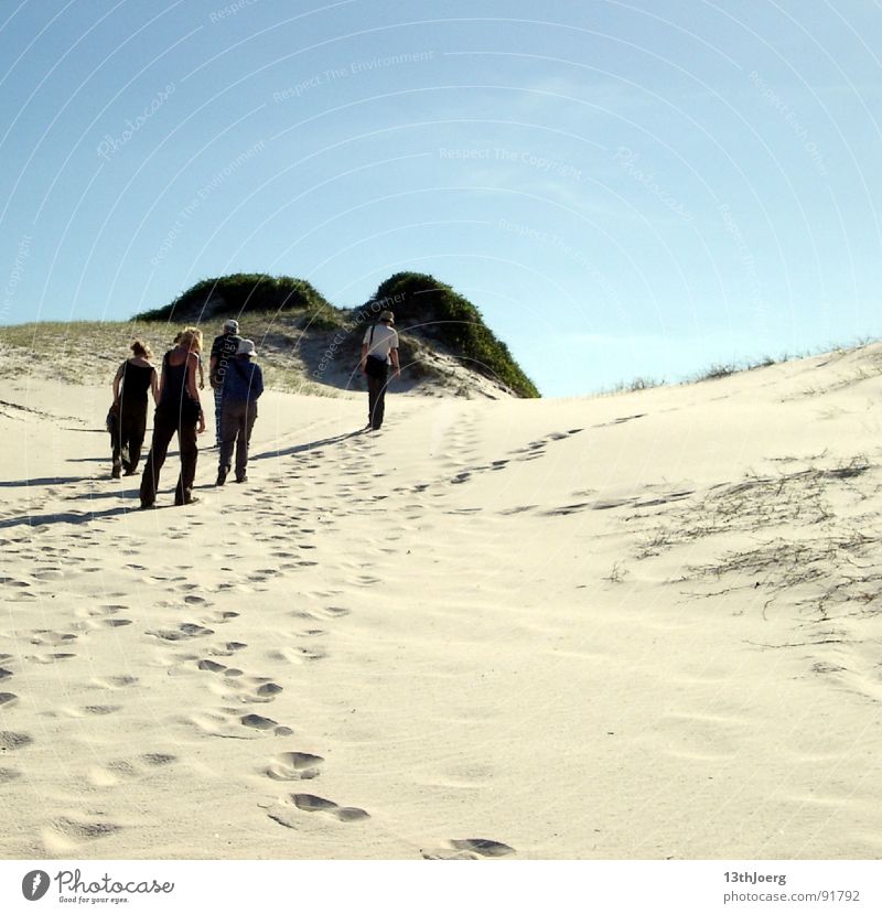 dune march Brazil South America Botany Dry Physics Hot Human being Loneliness In transit Desert Group Beach dune Sand floor coverings Thirst Warmth Tracks Sky