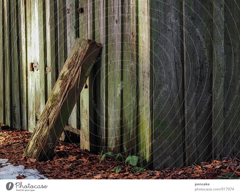 in the style of Nature Elements Earth Autumn Winter Forest Hut Sign Emotions Moody Humble Fatigue Contentment Calm Emphasis Autumn leaves Brittle Joist