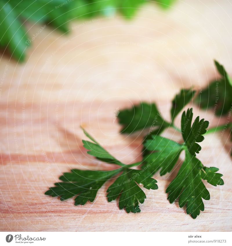 green stuff Food Herbs and spices Parsley Nutrition Organic produce Delicious Green Colour photo Interior shot Deserted Copy Space left Copy Space top