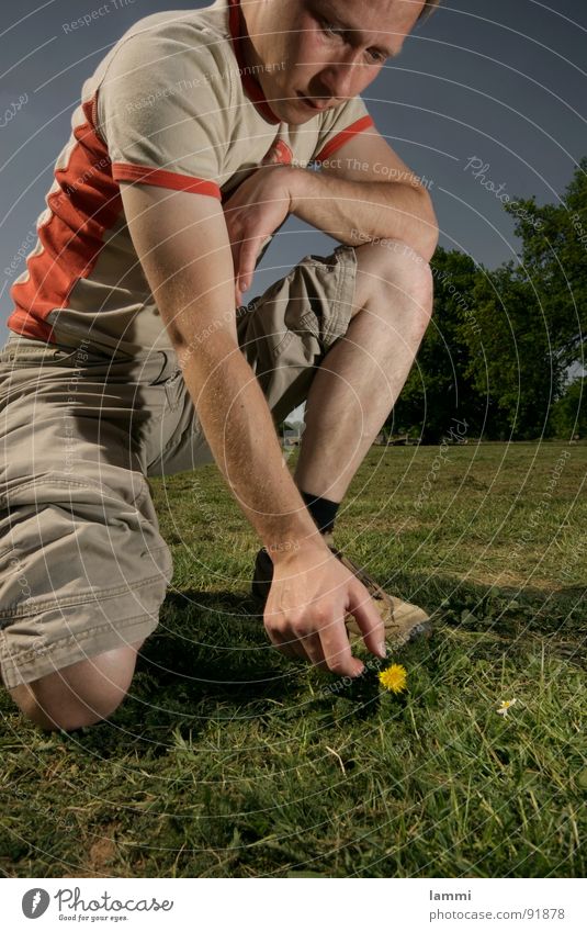 The last flower I Flower Summer Meadow Rescue Annihilate Yellow Environmental protection Rip Kill Grass Hand Sky Harvest Nature Garden Death man