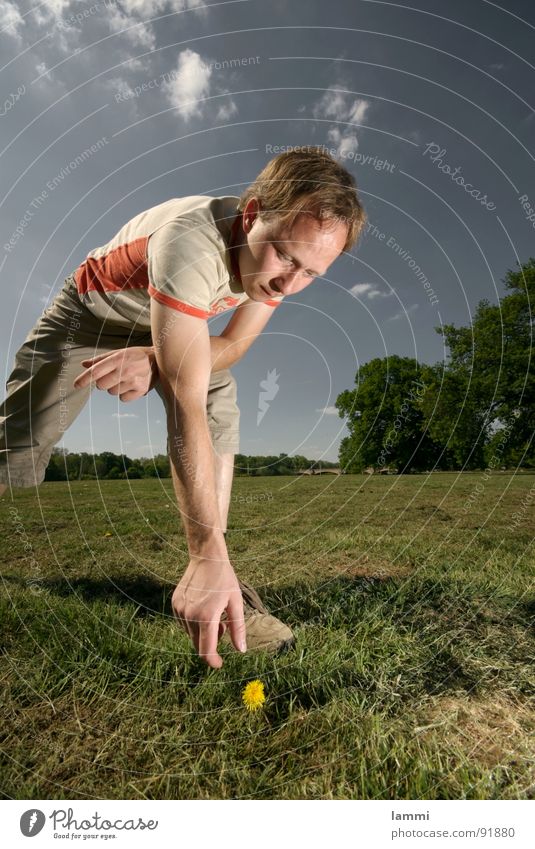 the last flower III Flower Summer Meadow Rescue Annihilate Yellow Environmental protection Rip Kill Grass Hand Sky Harvest Nature Garden Death man