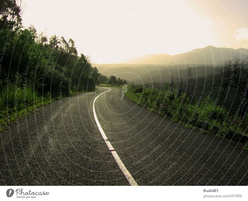 towards the sun Light Against Forwards Stripe Twilight Dazzle Tsitsikamma national park Green Africa Mountain Traffic infrastructure Street south africa Sun