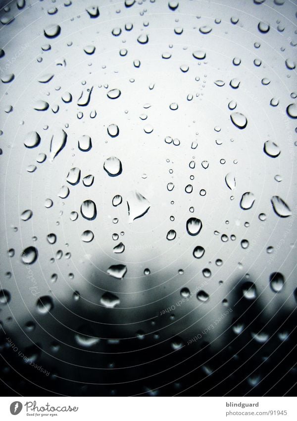 Raindrops On My Window Macro (Extreme close-up) Gray Storm Grief Gloomy April Wet Damp Environment Apocalypse Transparent Water Close-up Thunder and lightning