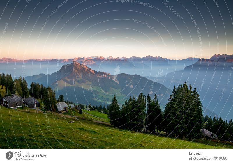 Rigi Scheidegg / Central Switzerland No. IV Environment Nature Landscape Air Sky Cloudless sky Horizon Sun Sunrise Sunset Sunlight Summer Autumn Climate change