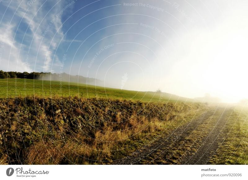 Way into the light Landscape Clouds Sun Sunrise Sunset Sunlight Autumn Beautiful weather Fog Grass Field Hill Blue Multicoloured Green Moody Calm Emotions