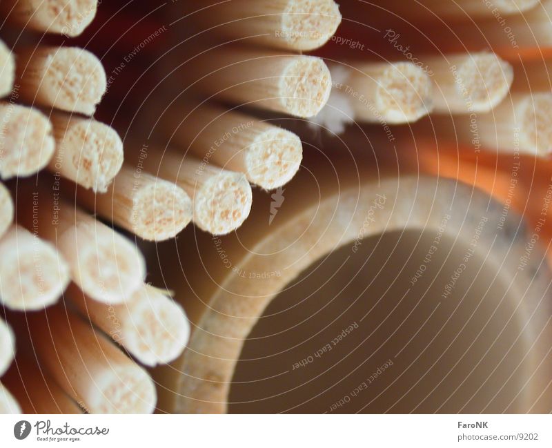 roller blind Roller blind Macro (Extreme close-up) Close-up Bamboo stick