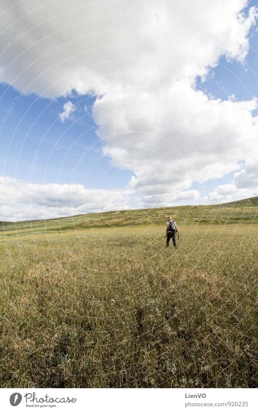 backpacker in swamp Hiking Nature Landscape Earth Air Sky Clouds Horizon Summer Drought Grass Agricultural crop Meadow Field Bog Marsh Hardangervidda Discover