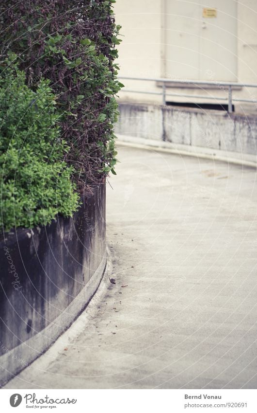 on the left Street Lanes & trails Concrete Bushes Town City life Parking Curve Transport Gray Green Dirty Gloomy Wall (barrier) Handrail Tracks Arch Direction