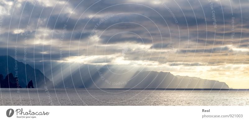 The steep coast of Madeira II Sailing Environment Nature Landscape Water Sky Clouds Sun Sunlight Summer Climate Beautiful weather Fog Hill Rock Waves Coast