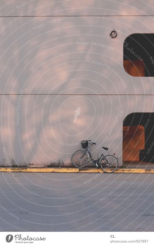 wheel Beautiful weather Tree Building Architecture Transport Means of transport Cycling Street Lanes & trails Bicycle Colour photo Exterior shot Deserted