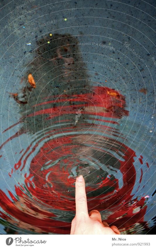 something remains Feminine Fingers 1 Human being Water Touch Wet Puddle Mirror image Lake Brook Dream Sadness Moody Environment Red Indicate Elements Climate