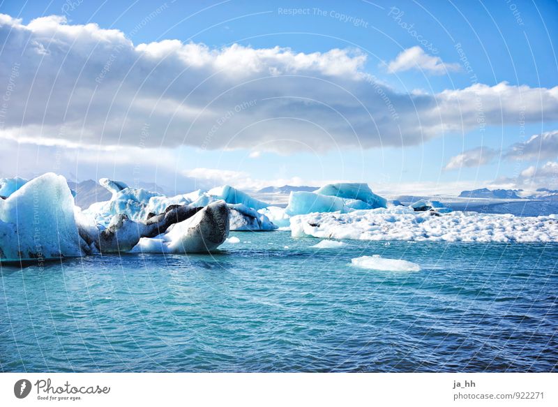 Lake Iceland with ice floes Ice floe Iceberg Blue Glacier Glacier ice Glacial melt Lakes Climate Climate change Climate protection climate crisis Nature Frost