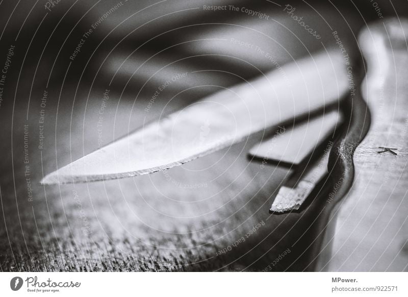 tool two Tool Technology Aggression Knives Bell Switchblade Sharp thing Steel Black & white photo Close-up Deserted Contrast Shallow depth of field