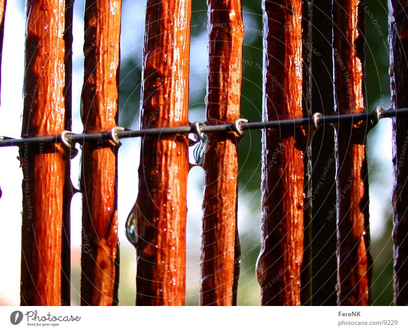 fence Fence Wood Macro (Extreme close-up) Close-up Pasture Water