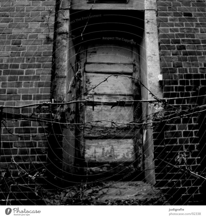 sanatorium House (Residential Structure) Ruin Building Door Brick Old Sadness Creepy Broken Loneliness Fear Bans Entrance Barbed wire Access Barred Laundry