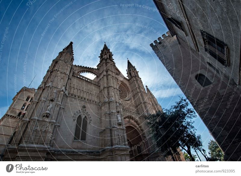 cathedral Sky Beautiful weather Church Tourist Attraction Old Esthetic Gigantic Blue Religion and faith Tourism Tradition Far-off places Gothic period Cathedral