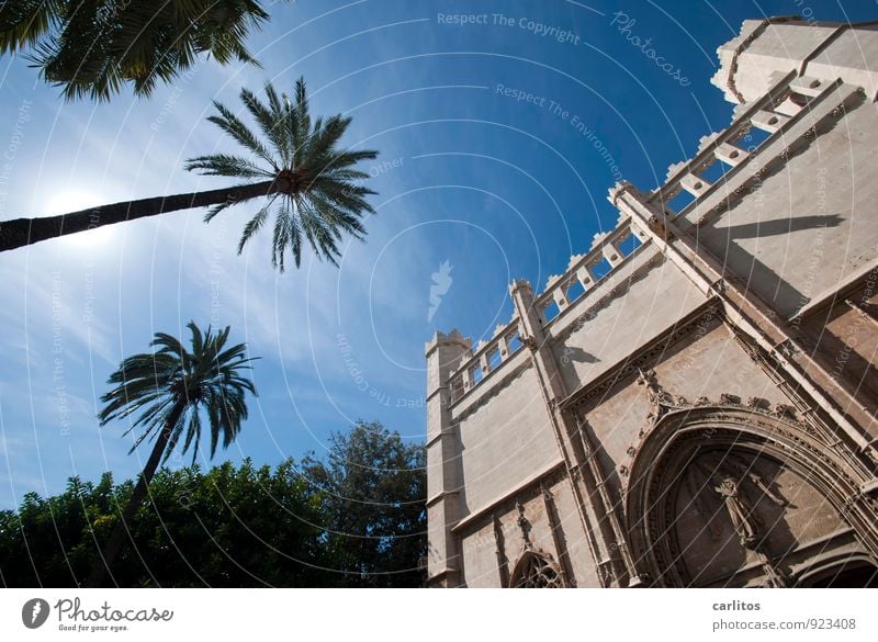 Mutual bowing Sky Sunlight Summer Beautiful weather Warmth Tree Capital city Port City Downtown Palace Architecture Facade Tourist Attraction Esthetic