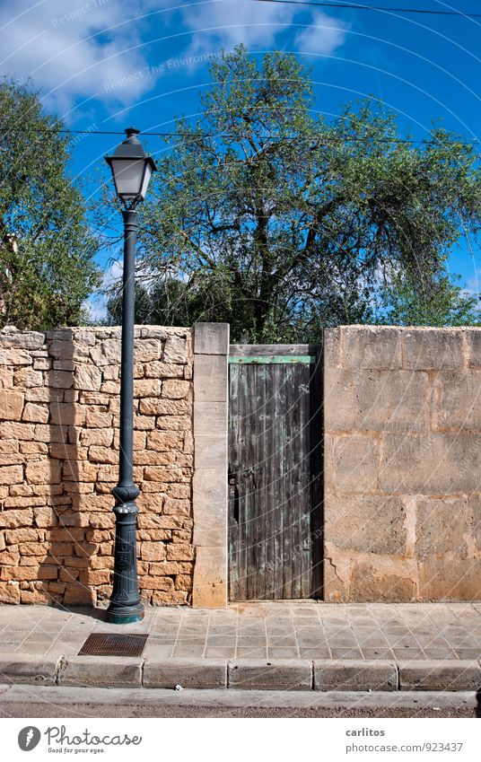 In front of the lantern in front of the small gate .... Sky Sunlight Summer Warmth Tree Wall (barrier) Wall (building) Door Esthetic Natural stone Wooden door