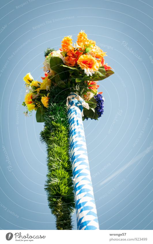 Wiesn Bouquet Oktoberfest Flagpole Blue Multicoloured Blue-white Worm's-eye view Skyward Colour photo Exterior shot Close-up Deserted Copy Space left