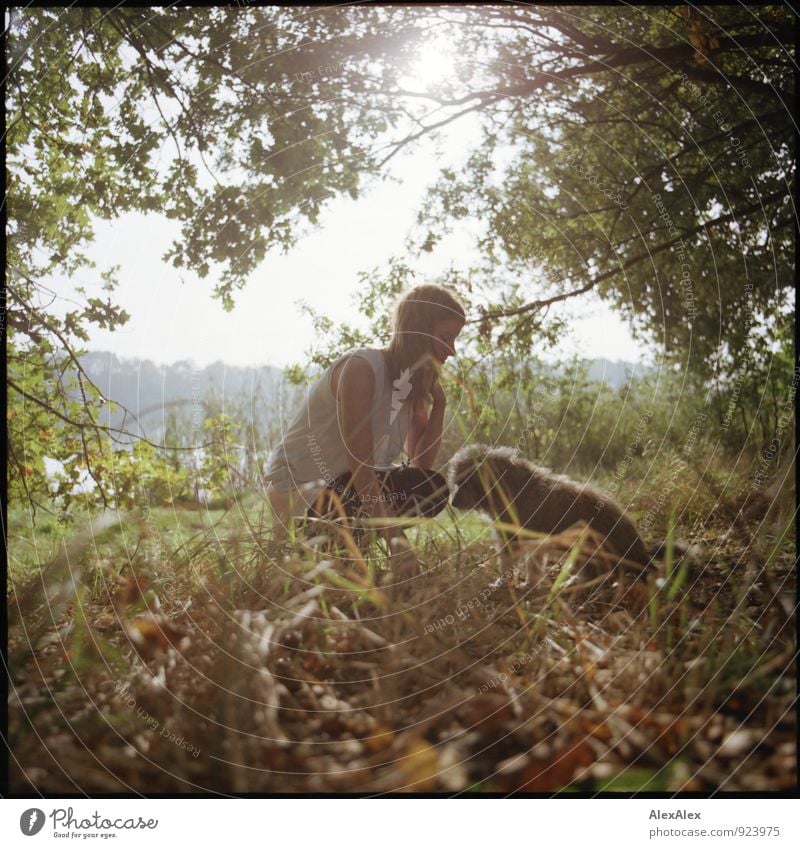 Backlight - Young woman squats at the edge of the forest with her little dog, whom she admonishes and who looks away Trip Youth (Young adults) 18 - 30 years