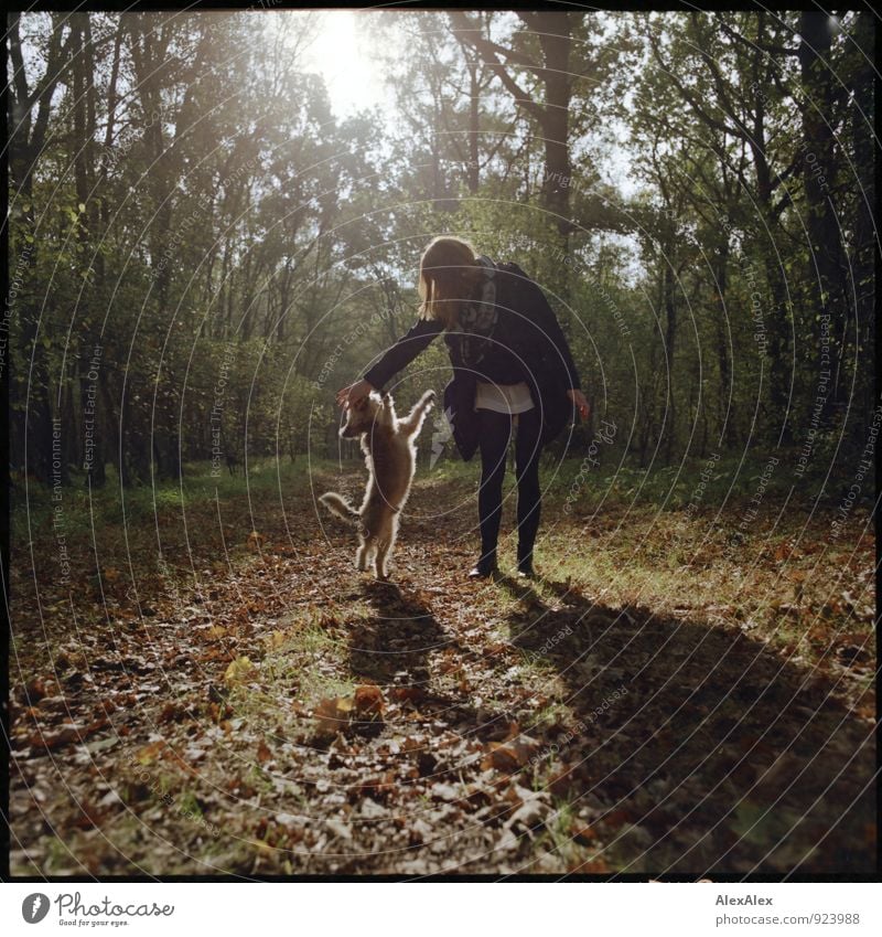 Young woman in the forest with her little dog Trip Youth (Young adults) 18 - 30 years Adults Nature Beautiful weather Forest Footpath Dog Playing Esthetic Free