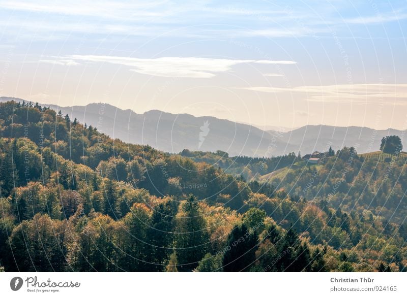 autumn landscape Vacation & Travel Tourism Trip Far-off places Environment Nature Landscape Sky Clouds Autumn Beautiful weather Plant Tree Grass Bushes Field