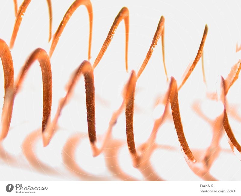 copper chip Spiral Macro (Extreme close-up) Close-up Copper span Metal