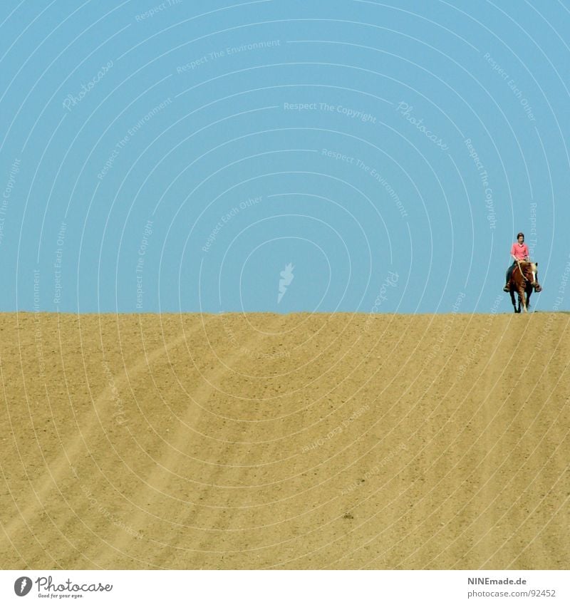 The horizon II Sky blue Horizon Field Yellow Rut Far-off places Horse Pink White Brown Summer Emotions Good mood Loneliness Calm To enjoy Walking Small Large