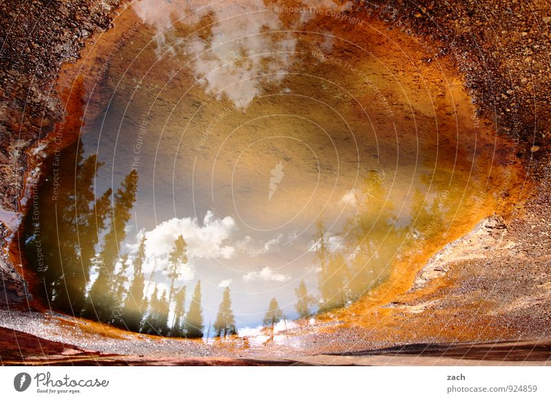 inverted world Tourism Nature Landscape Earth Water Sky Clouds Summer Plant Tree Flower Mountain Rocky Mountains Pond Lake Canada Kootenay NP North America Blue