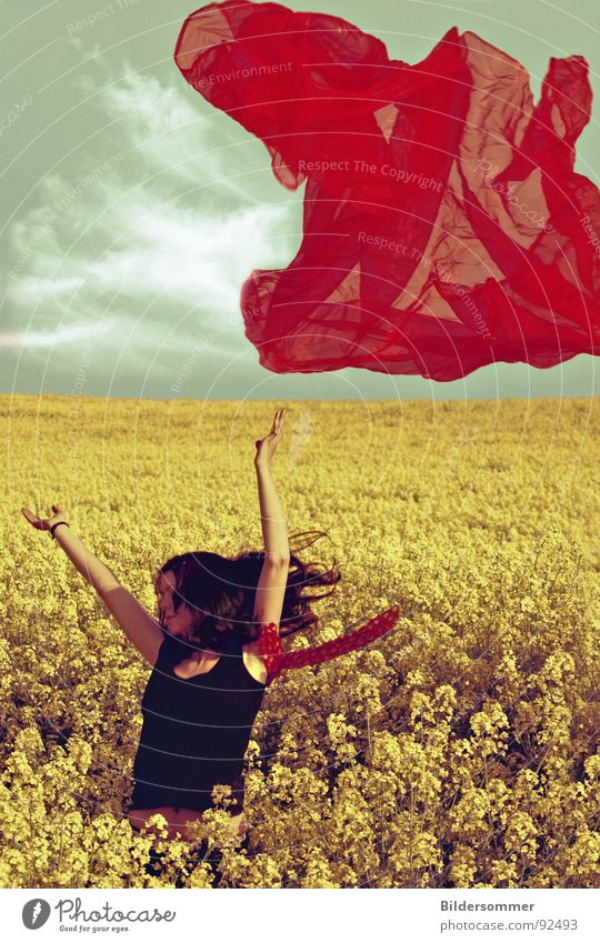 Rapeseed III Canola Canola field Field Spring Red Yellow Agriculture Woman Scarf Vail Clouds Green Landscape Blue Ramp rapefield cloud colors colours Colour