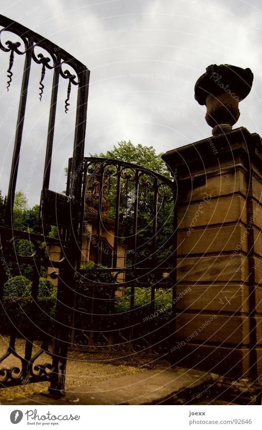 cup goal Tree Dark Entrance Iron gate Memory Cemetery Religion and faith Paradise Death Wall (barrier) Park Gate Cup (trophy) Portal Calm Rest Grave