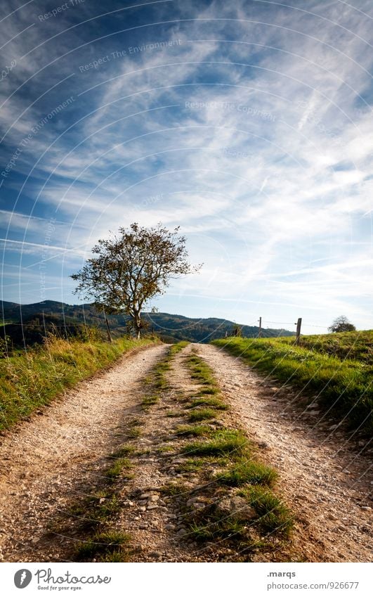 The way is the goal Trip Hiking Environment Nature Landscape Sky Clouds Summer Autumn Beautiful weather Tree Hill Lanes & trails Natural Moody Target Future