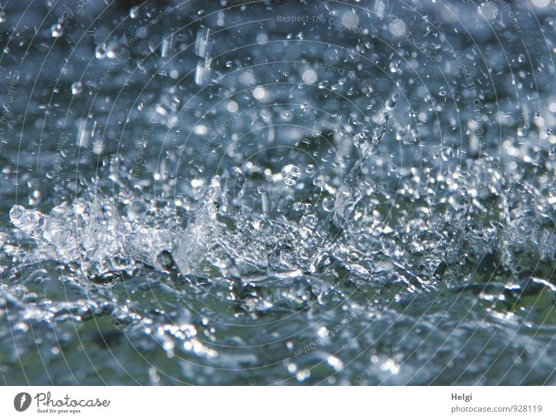 ...and splashes... Environment Water Drops of water Movement To fall Glittering Esthetic Authentic Fresh Cold Wet Natural Clean Blue Gray White Bizarre