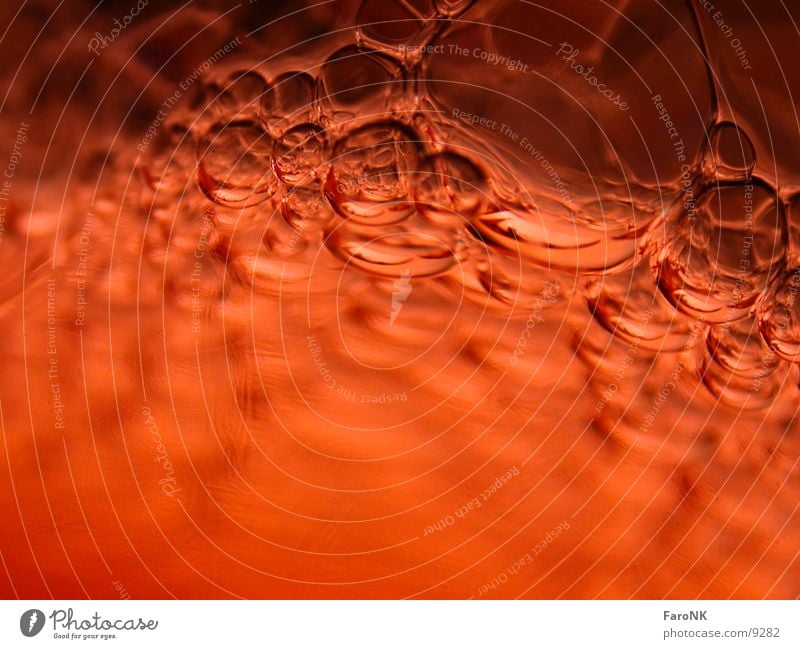 foam Foam Red Macro (Extreme close-up) Close-up Water Blow