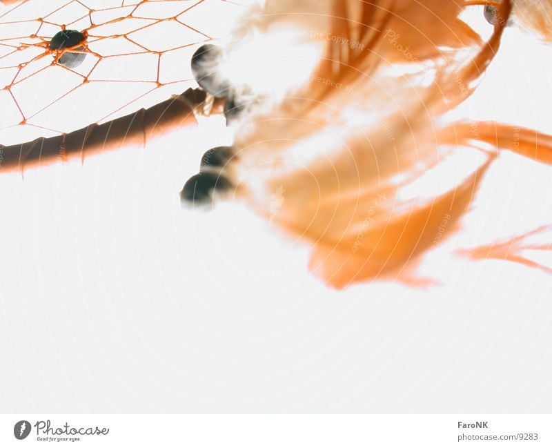 dreamcatcher Dream Macro (Extreme close-up) Close-up Feather Sphere Dreamcatcher Detail Colour photo Deserted Net Plaited Copy Space bottom