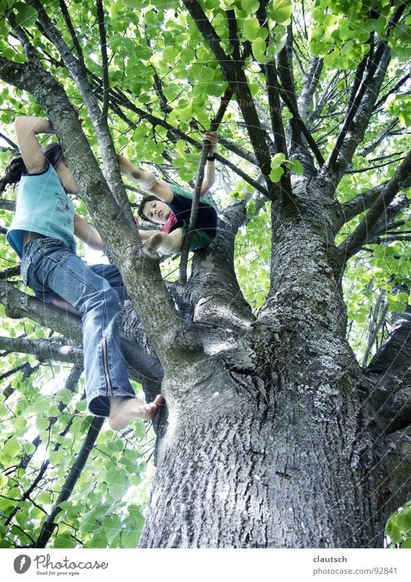 I also come ... Tree Tall Leaf Child Boy (child) Girl Playing Action Forest Joy Climbing Enthusiasm fun Nature Above