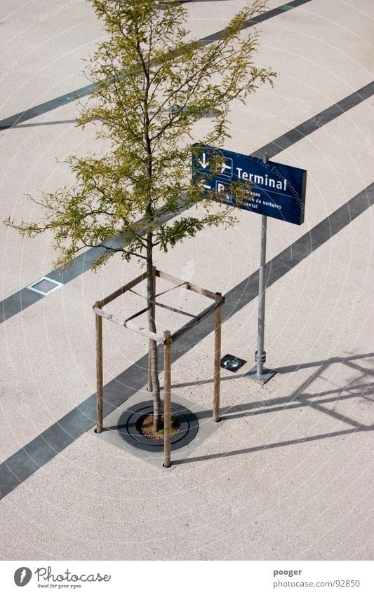 Terminal Tree Places Information Gray Green Airport Traffic infrastructure Control desk Baun signage Line Blue Architecture