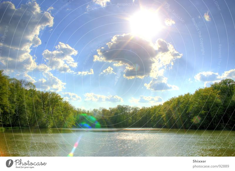 Katzenbachsee Stuttgart Lake Forest Clouds HDR Tree Calm Nature Sun Water Sky Weather