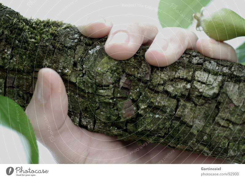 Of course. Skin Human being Hand Fingers Tree Wood To hold on Fingernail Tree bark Door handle Enclose Branch Twig Colour photo Subdued colour Exterior shot