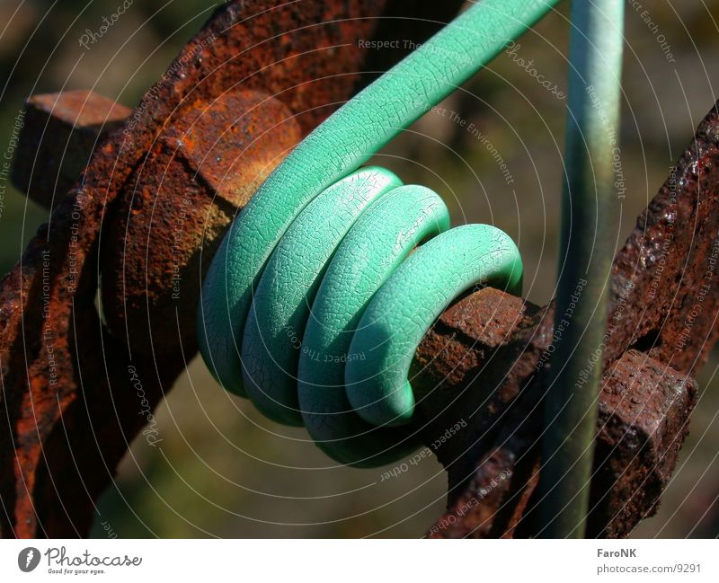 GreenWire Red Macro (Extreme close-up) Close-up Rust