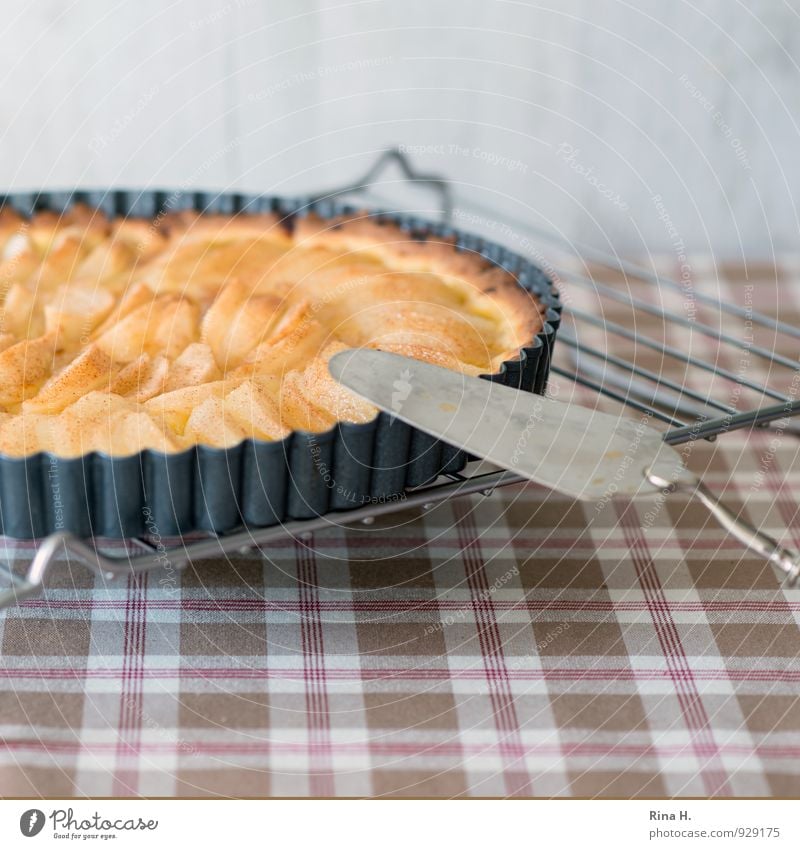 Tarte aux poire Dough Baked goods Fresh Delicious Sweet Pear tart Baking tin Cake server Tablecloth Checkered Colour photo Interior shot Deserted Copy Space top