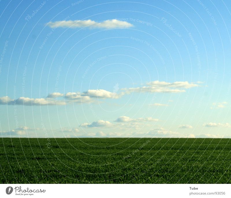 Over the horizon..... Clouds Meadow Green White Home country Saxony Exterior shot Grass Horizon Agriculture Field Hole in the ozone layer Ozone layer Oxygen