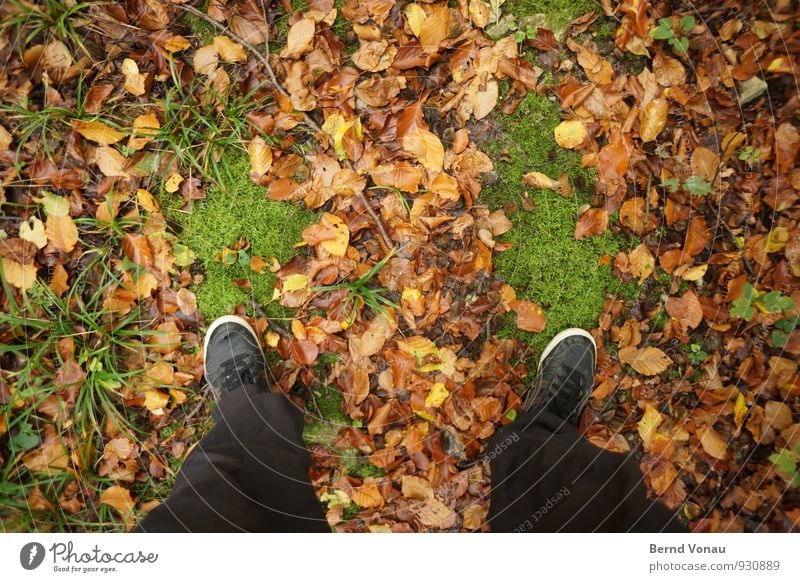 green footprint Autumn Moss Leaf Footwear Footprint Stand Under Green Figure of speech Autumn leaves Pants Woodground Forest Weather Autumnal Grass Brown Black