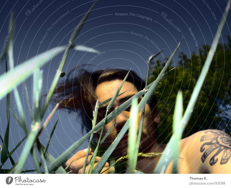 sun Summer Grass Meadow Tree Portrait photograph Relaxation Lawn Garden Sky Wind