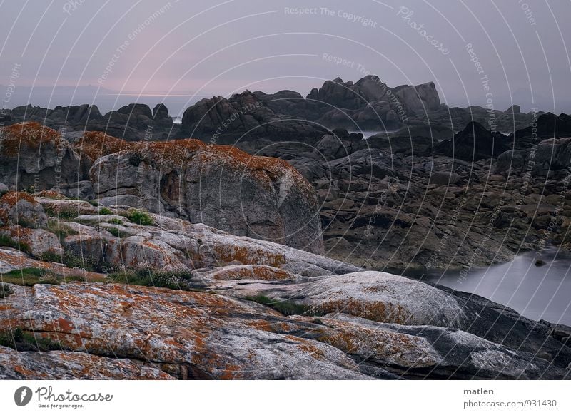 to hell Landscape Water Sky Clouds Sunrise Sunset Autumn Weather Bad weather Moss Hill Rock Coast Beach Reef Ocean Brown Gray Pink Colour photo Subdued colour