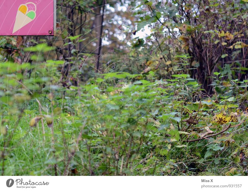 top left Food Ice cream Nutrition Summer Plant Grass Bushes Leaf Signs and labeling Cold Delicious Sweet Ice-cream parlor Ice-cream cone Sell Sign forest