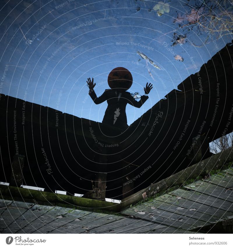 Hands up Hallowe'en Human being 1 Environment Nature Water Plant Leaf Coast Lakeside River bank Brook Creepy Emotions Fear Footbridge Nightmare Pumpkin